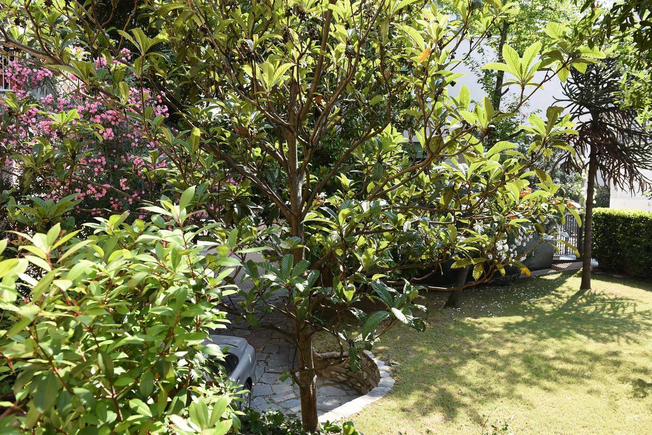 燕子公寓 科莫 外观 照片